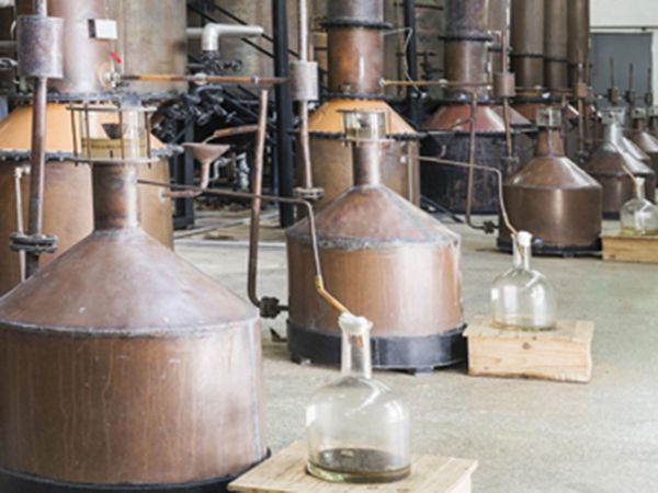 酿酒蒸馏